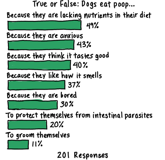 default album dogs eat poop graph